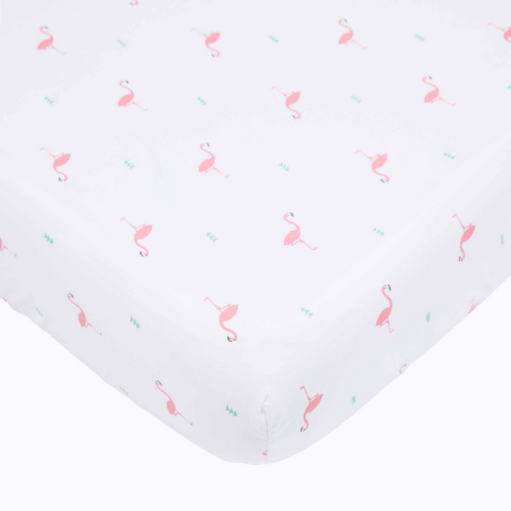 Hello Flamingo