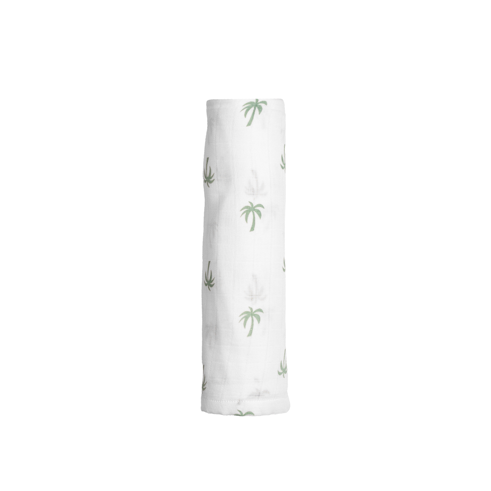palm paradise