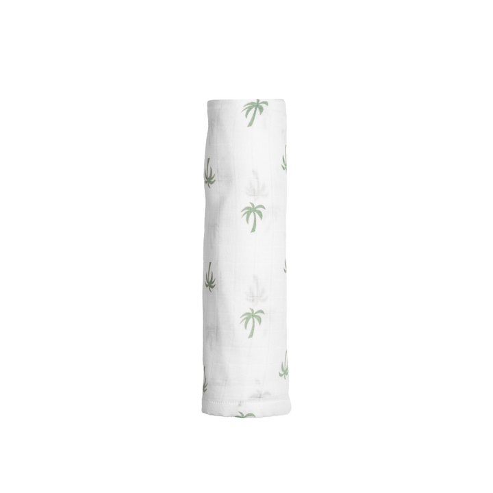 palm paradise