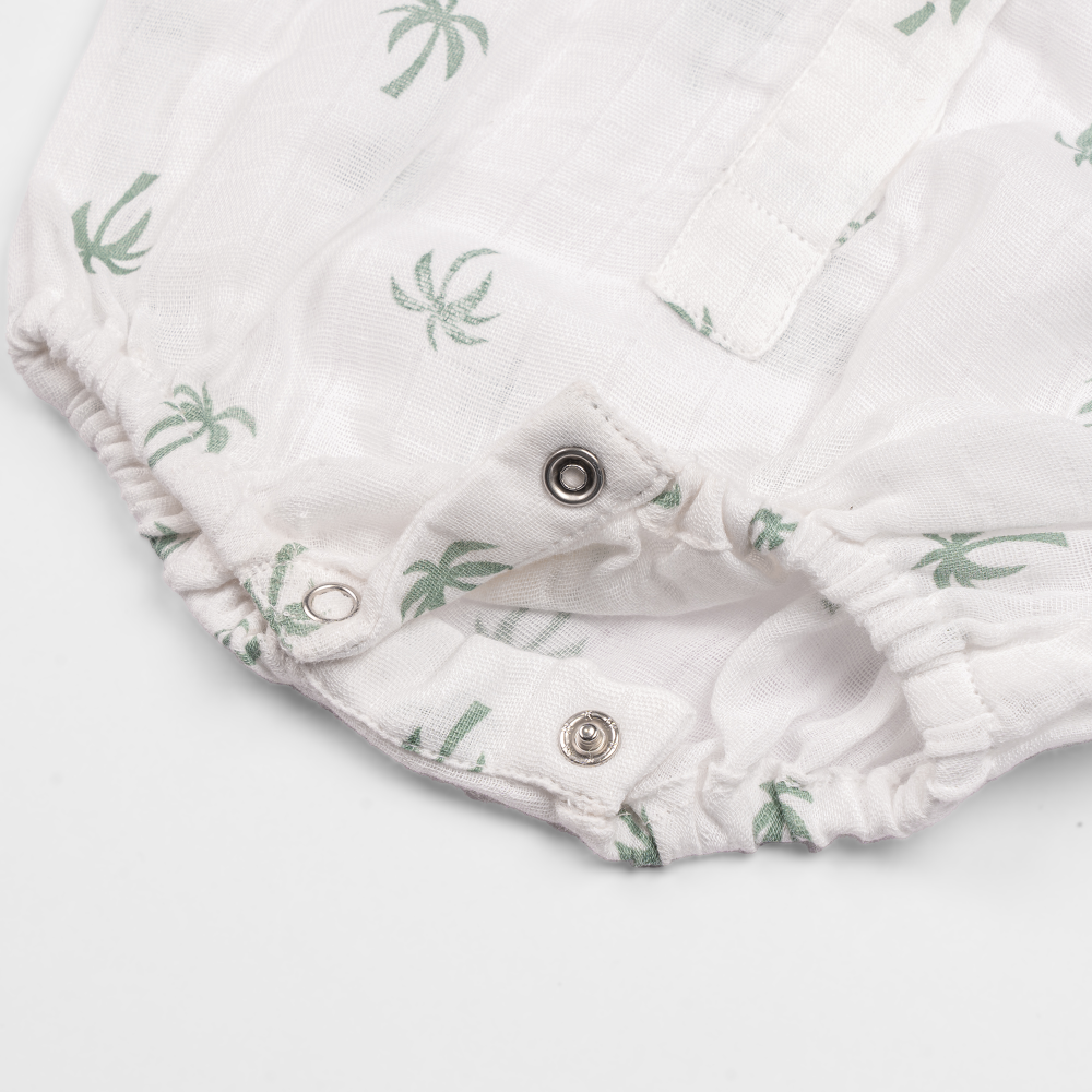 palm paradise