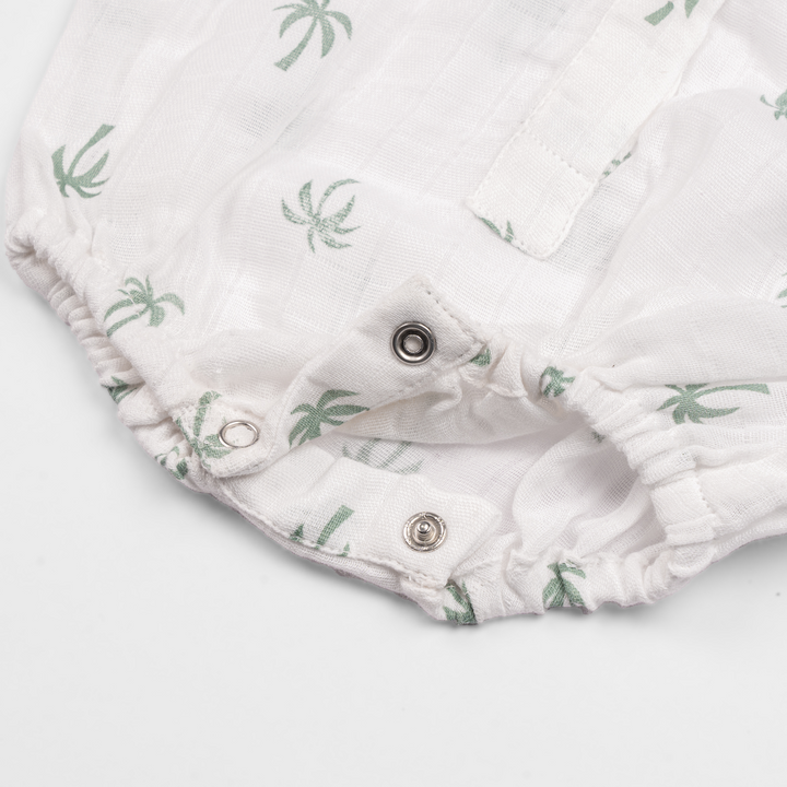 palm paradise