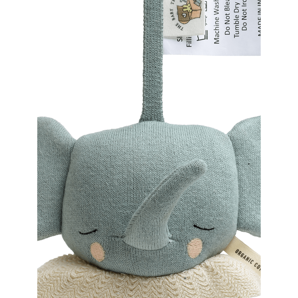 The Baby Trunk Elephant - Musical