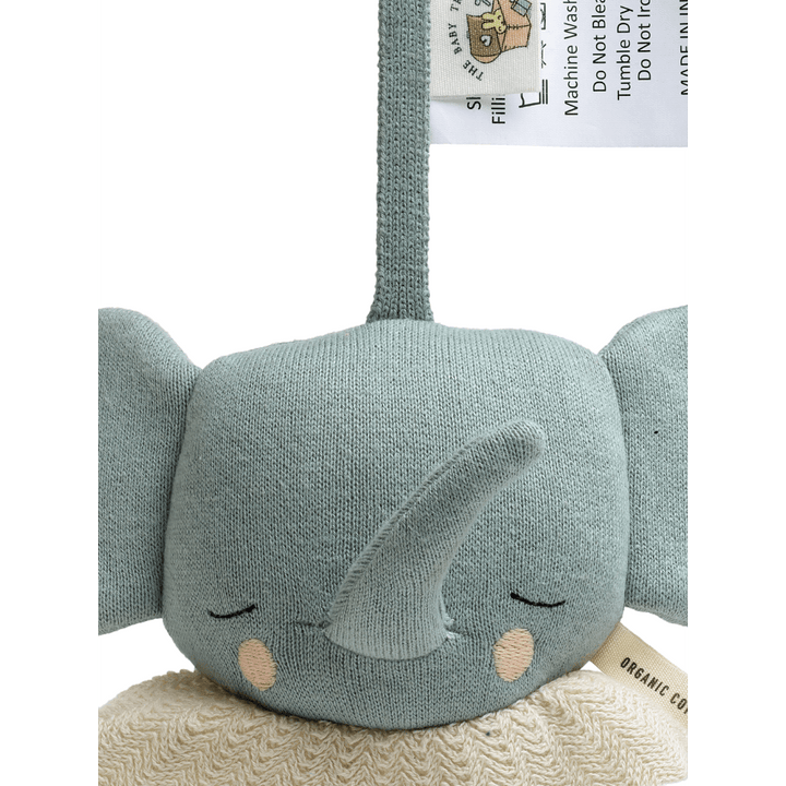 The Baby Trunk Elephant - Musical