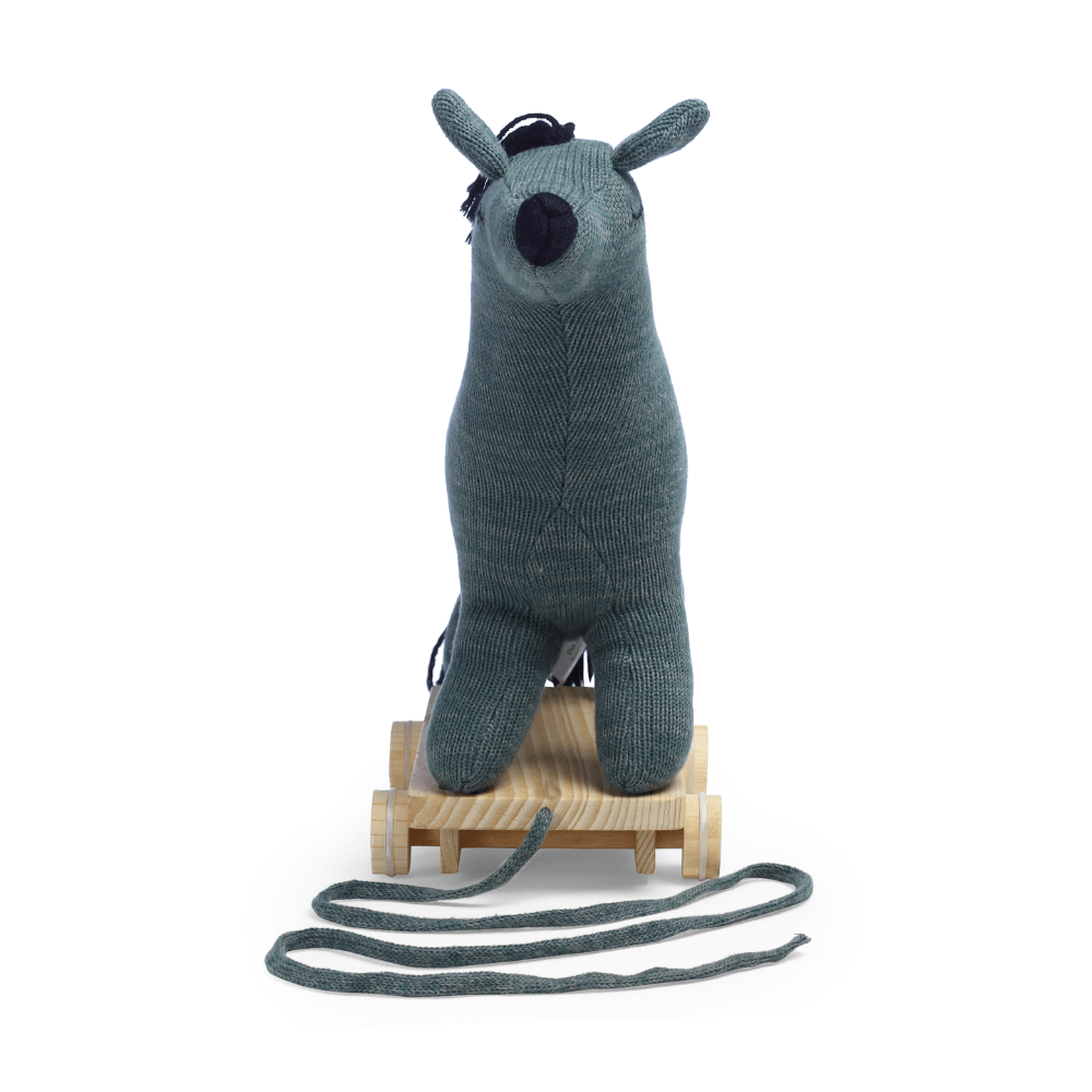 The Baby Trunk Llama - Pulling