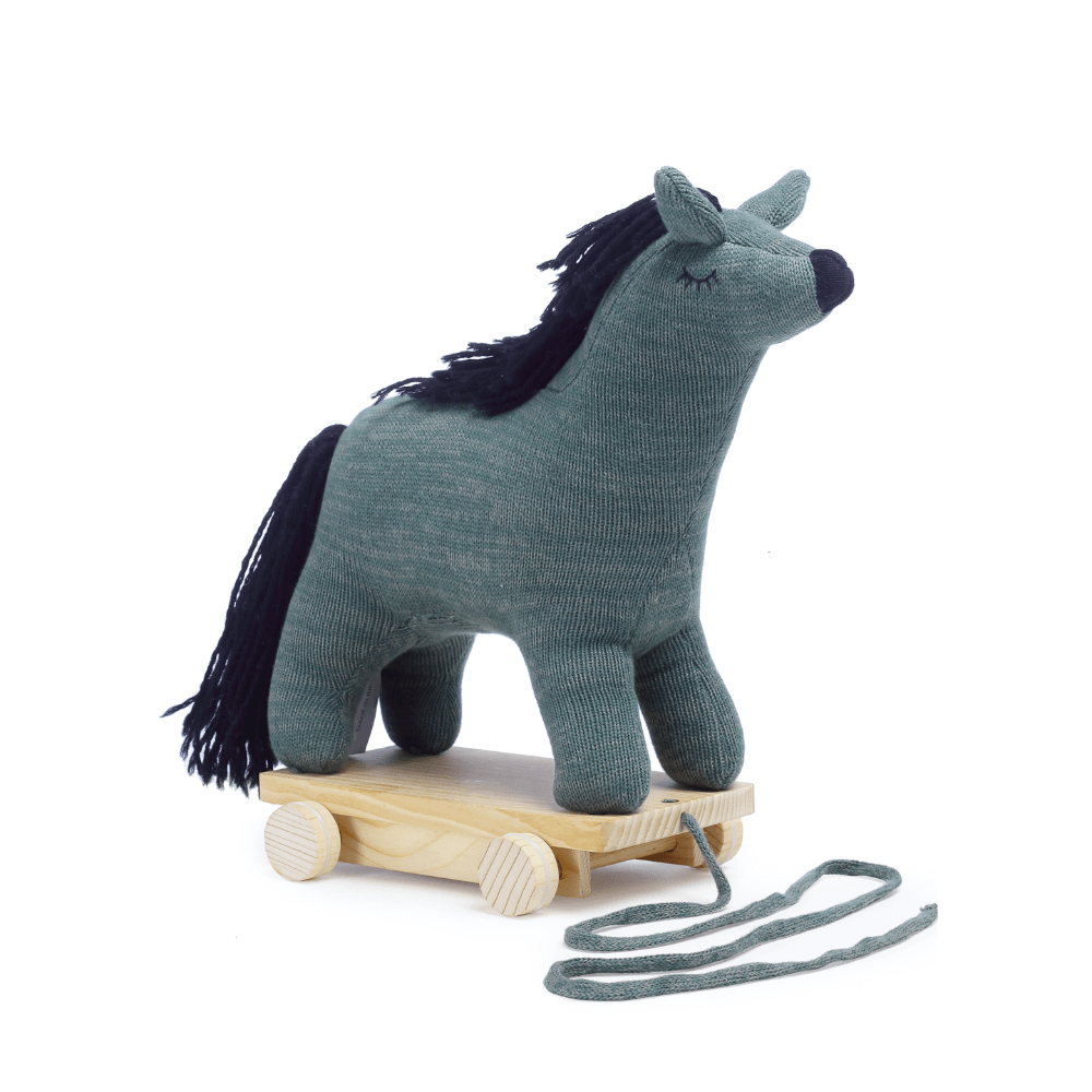 The Baby Trunk Llama - Pulling