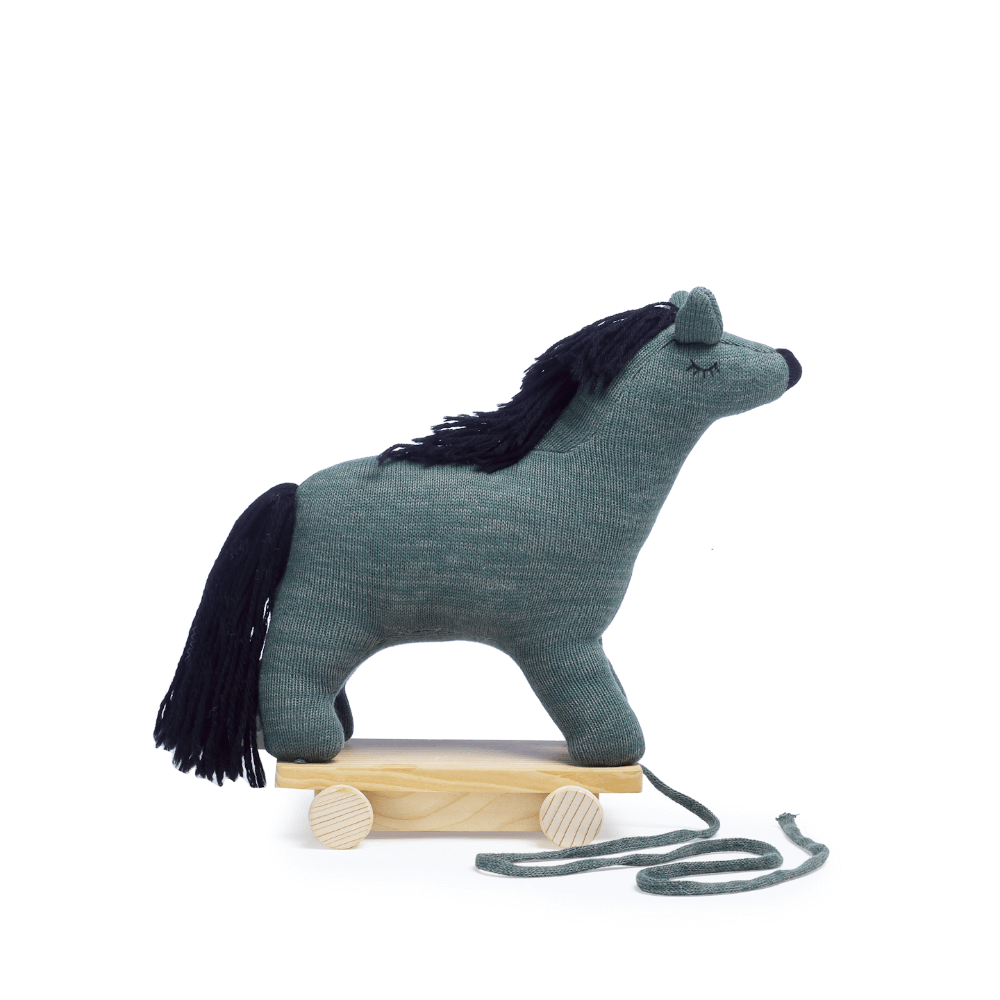 The Baby Trunk Llama - Pulling