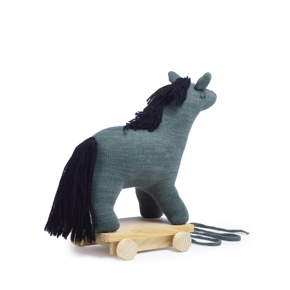 The Baby Trunk Llama - Pulling