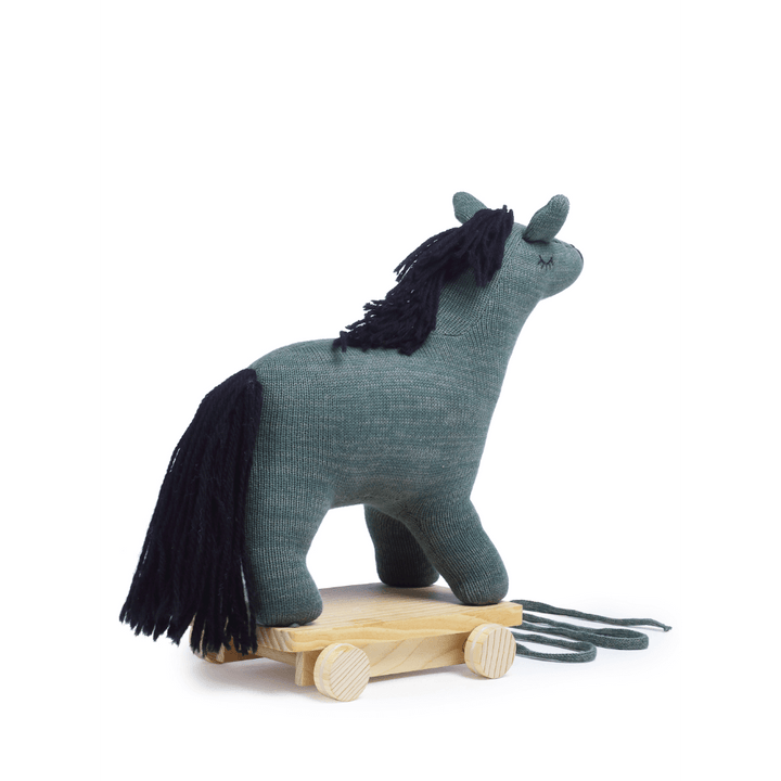 The Baby Trunk Llama - Pulling