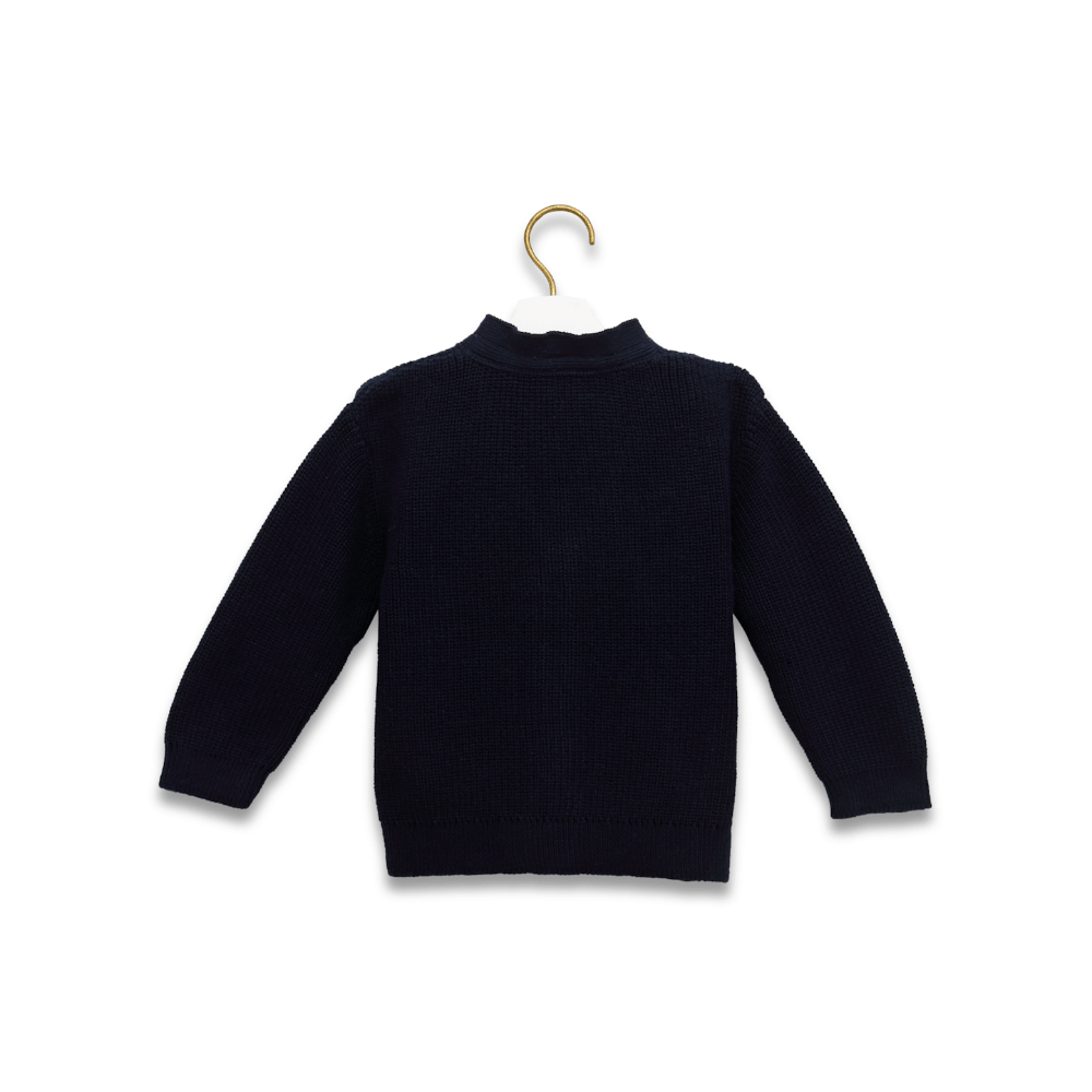 #color_navy