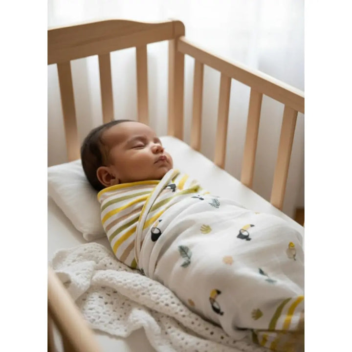 Masilo Organic Muslin Swaddles (Set of 2) - Tropical Toucan