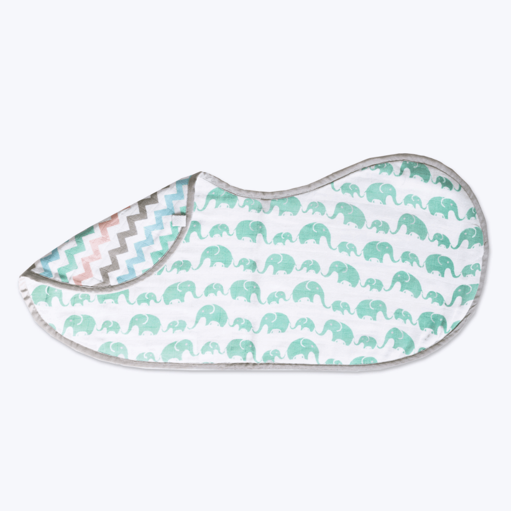 Elephant Parade