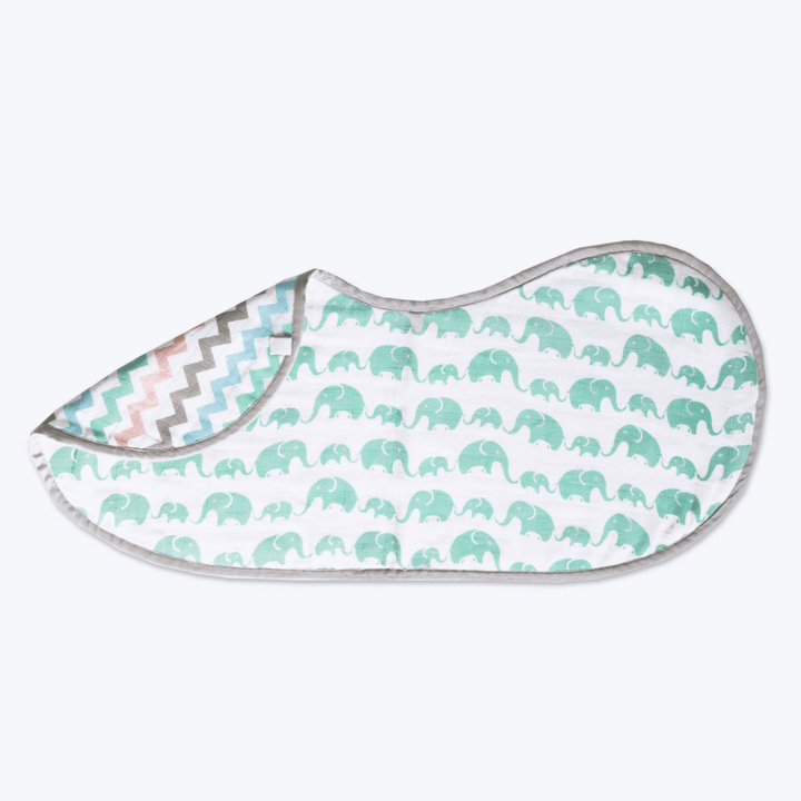 Elephant Parade