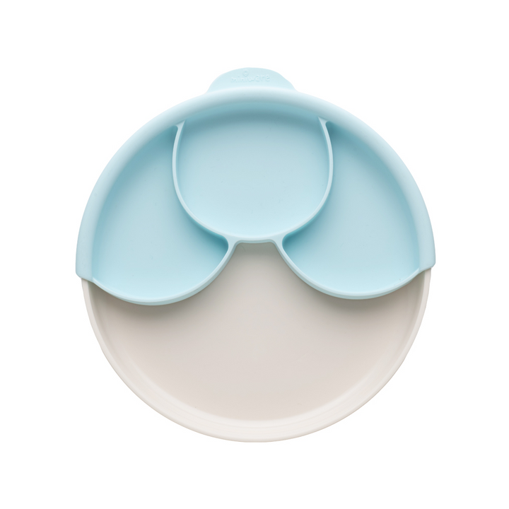 #color_Vanilla/Aqua