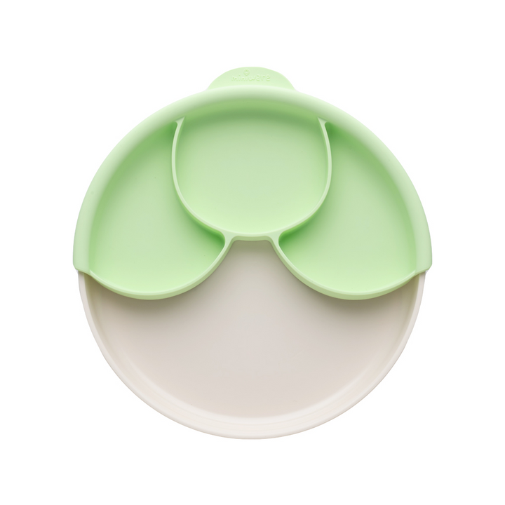 #color_Vanilla/Key-Lime
