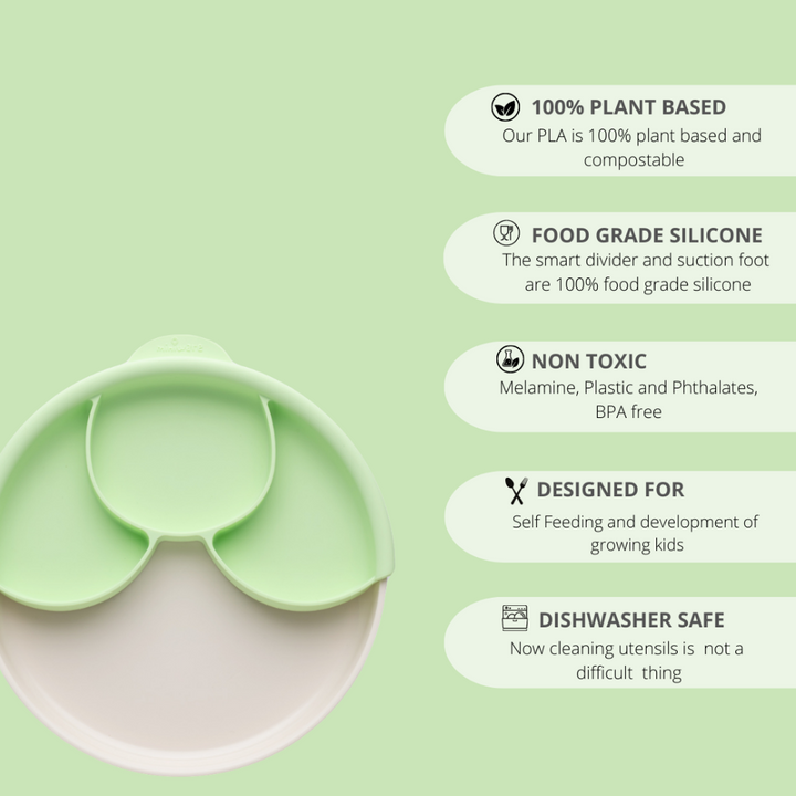 #color_Vanilla/Key-Lime