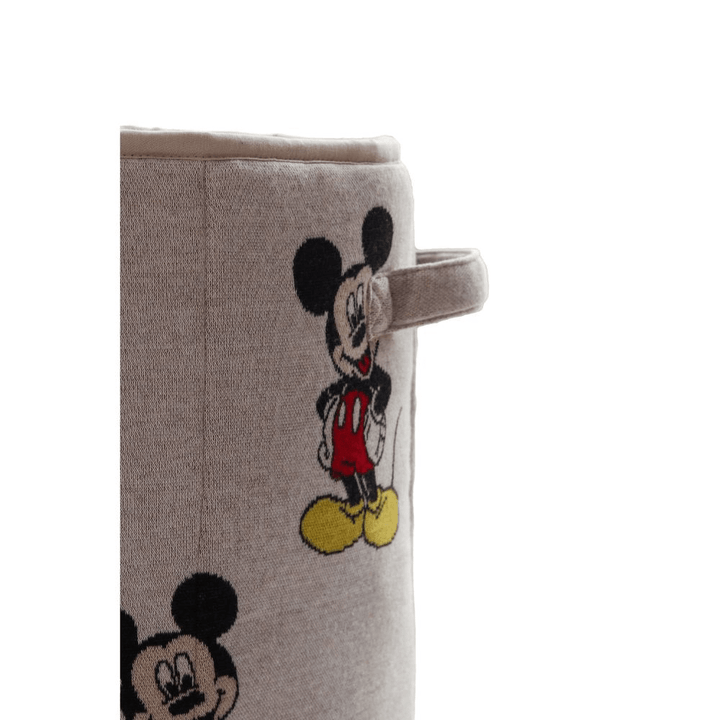 i love mickey mouse