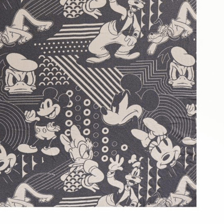 Pluchi Disney Cotton Knitted Single Bed AC Blanket For Kids