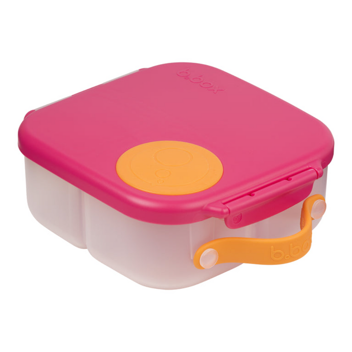 #color_B.Box-Mini-Lunch-Box