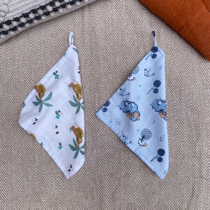 Bhaakur Muslin Wash Clothes- Set of 2