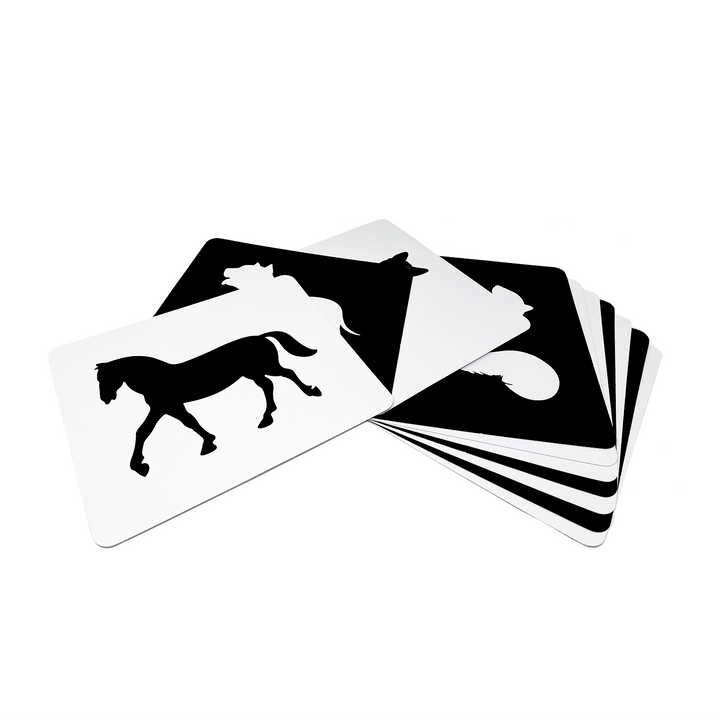 Brainsmith Newborn High Contrast Flash Cards ( Pack of 3)