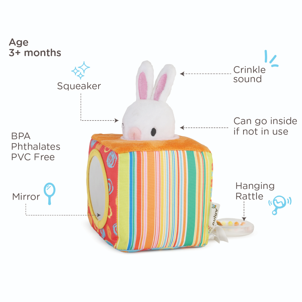 Nuluv Playtime Bunny Cube