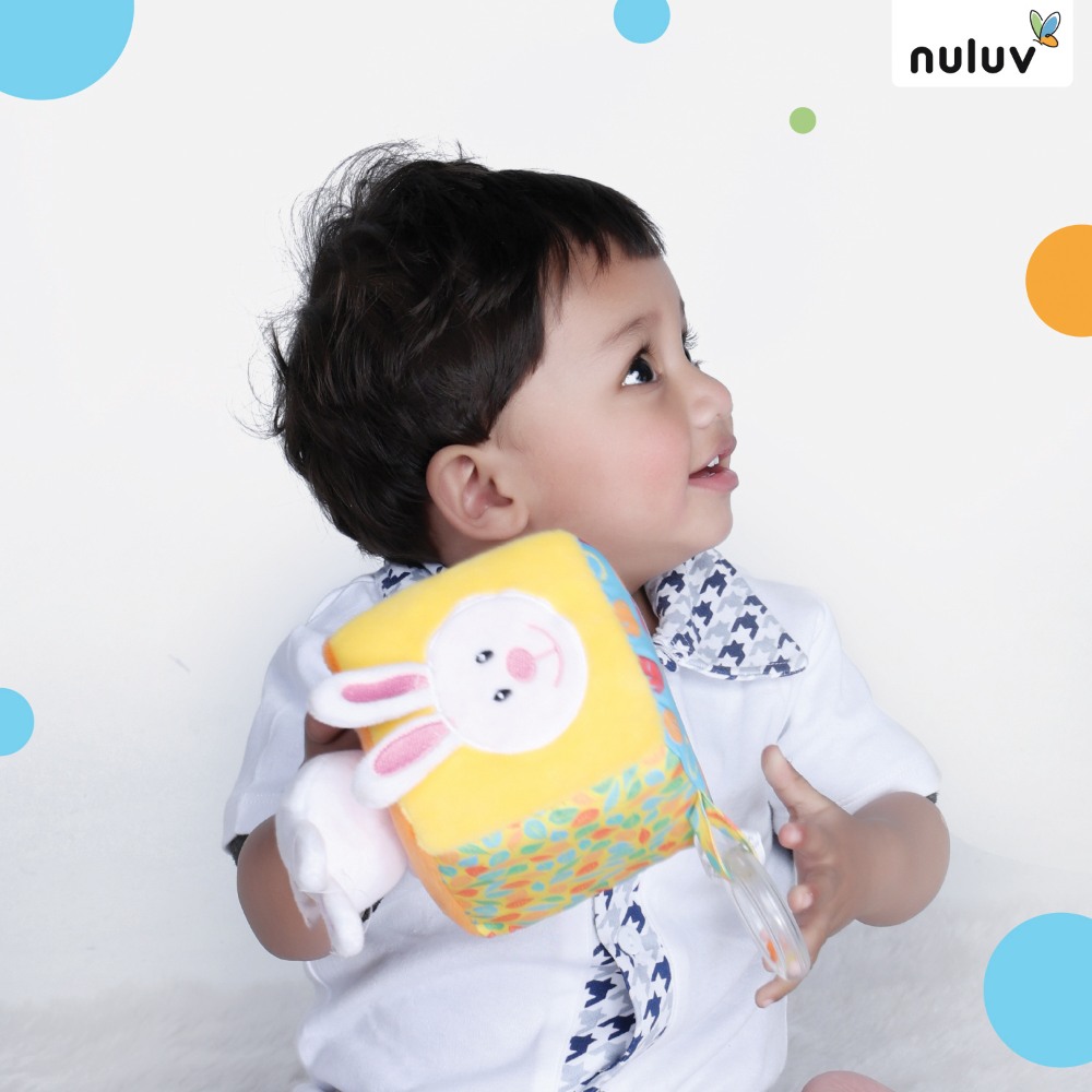 Nuluv Playtime Bunny Cube