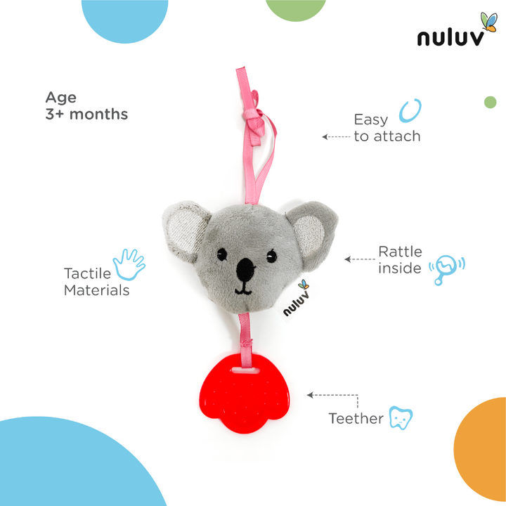 koala