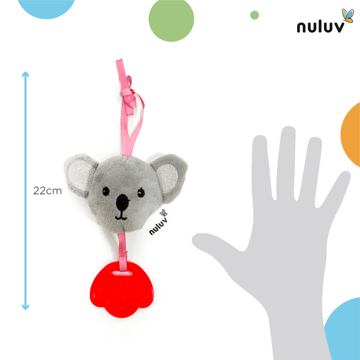 koala