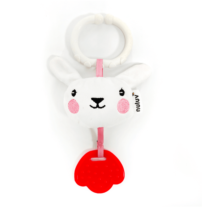 bunny