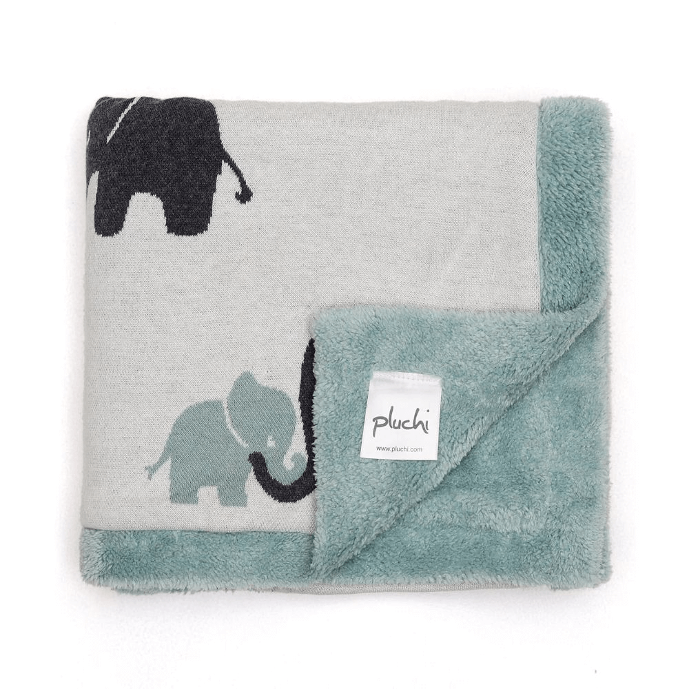 indian elephant