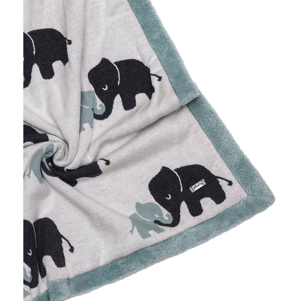 indian elephant