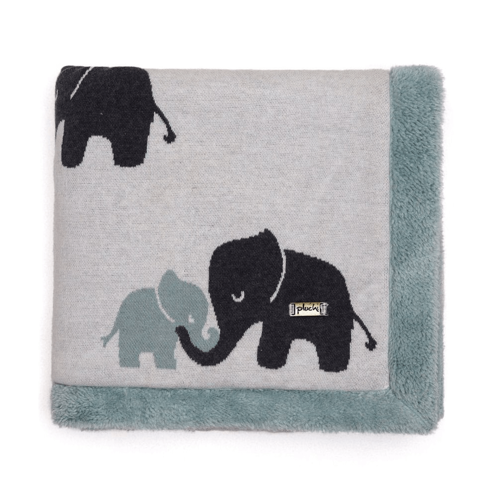 indian elephant