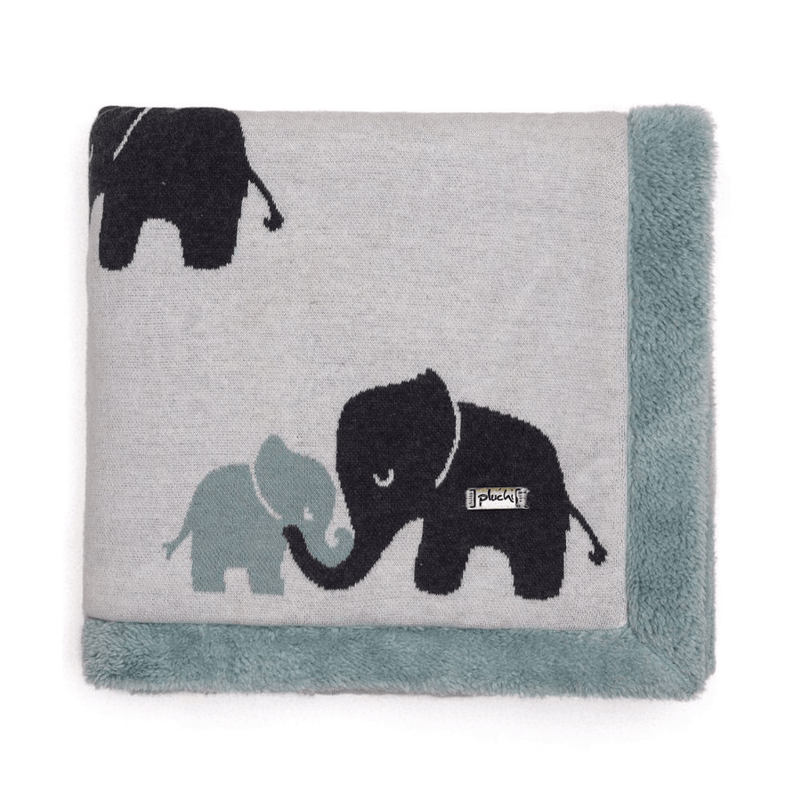 indian elephant