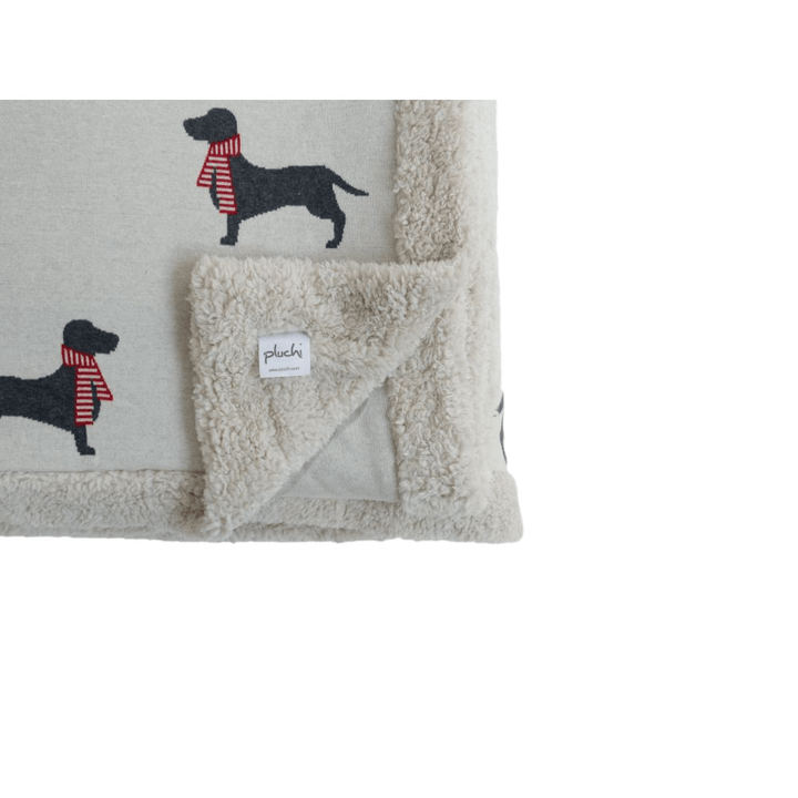 dachshund