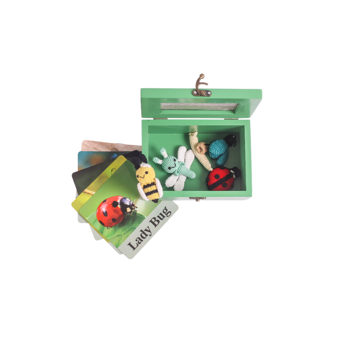 The Play Chapter Peekaboo Bugs