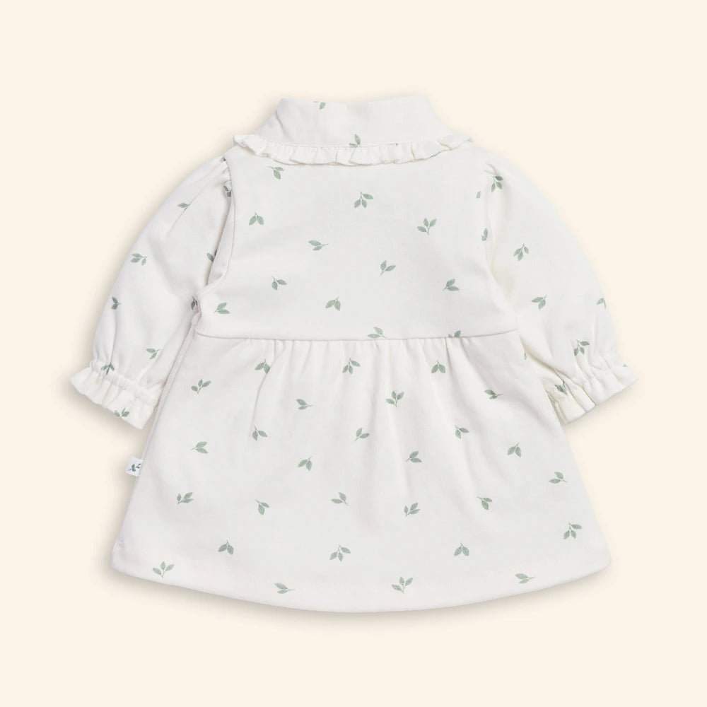 Tiny Twig Leaves Peterpan Dress Set - Sage