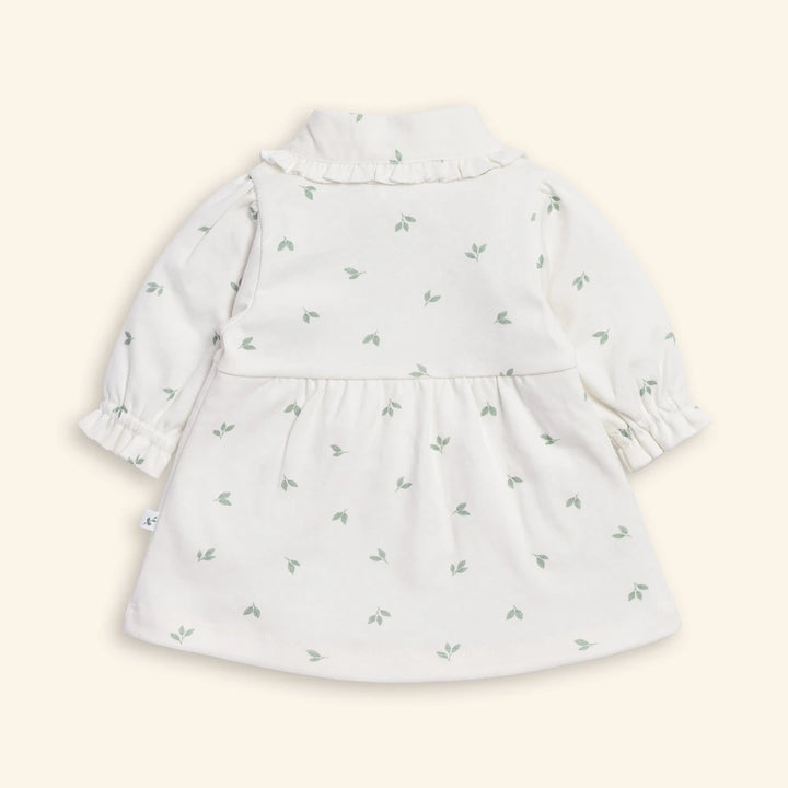 Tiny Twig Leaves Peterpan Dress Set - Sage