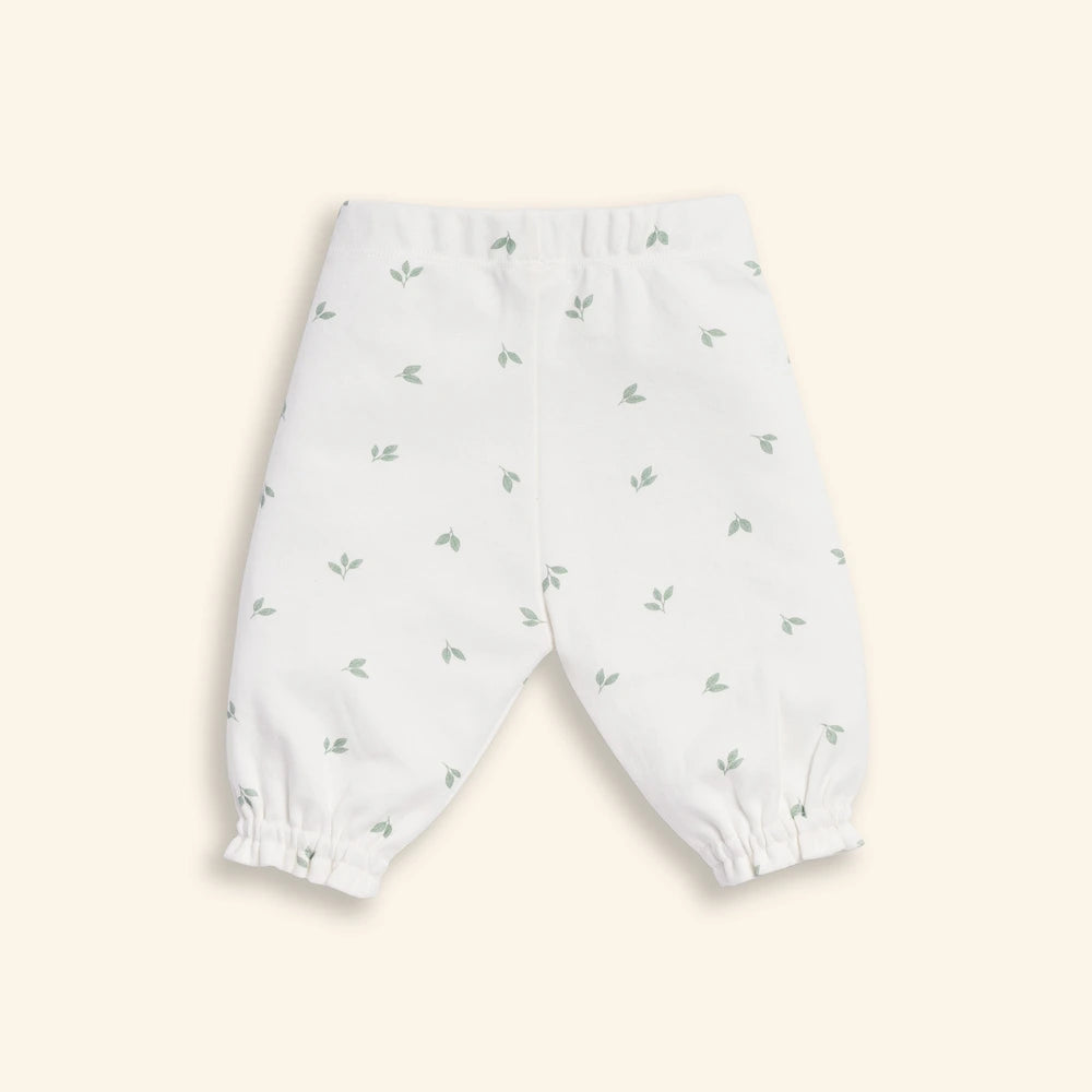 Tiny Twig Leaves Peterpan Dress Set - Sage