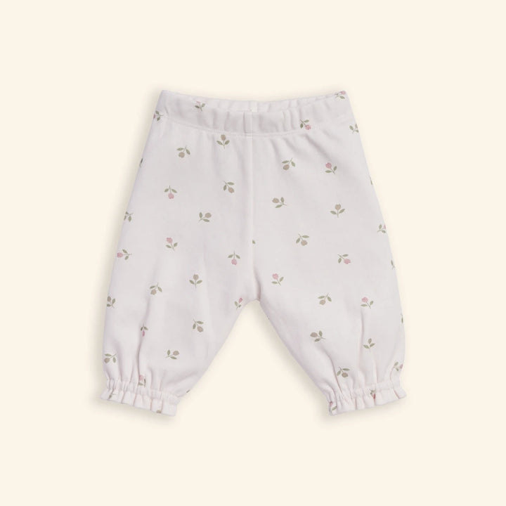 Tiny Twig Tulips Peterpan Dress Set - Blush