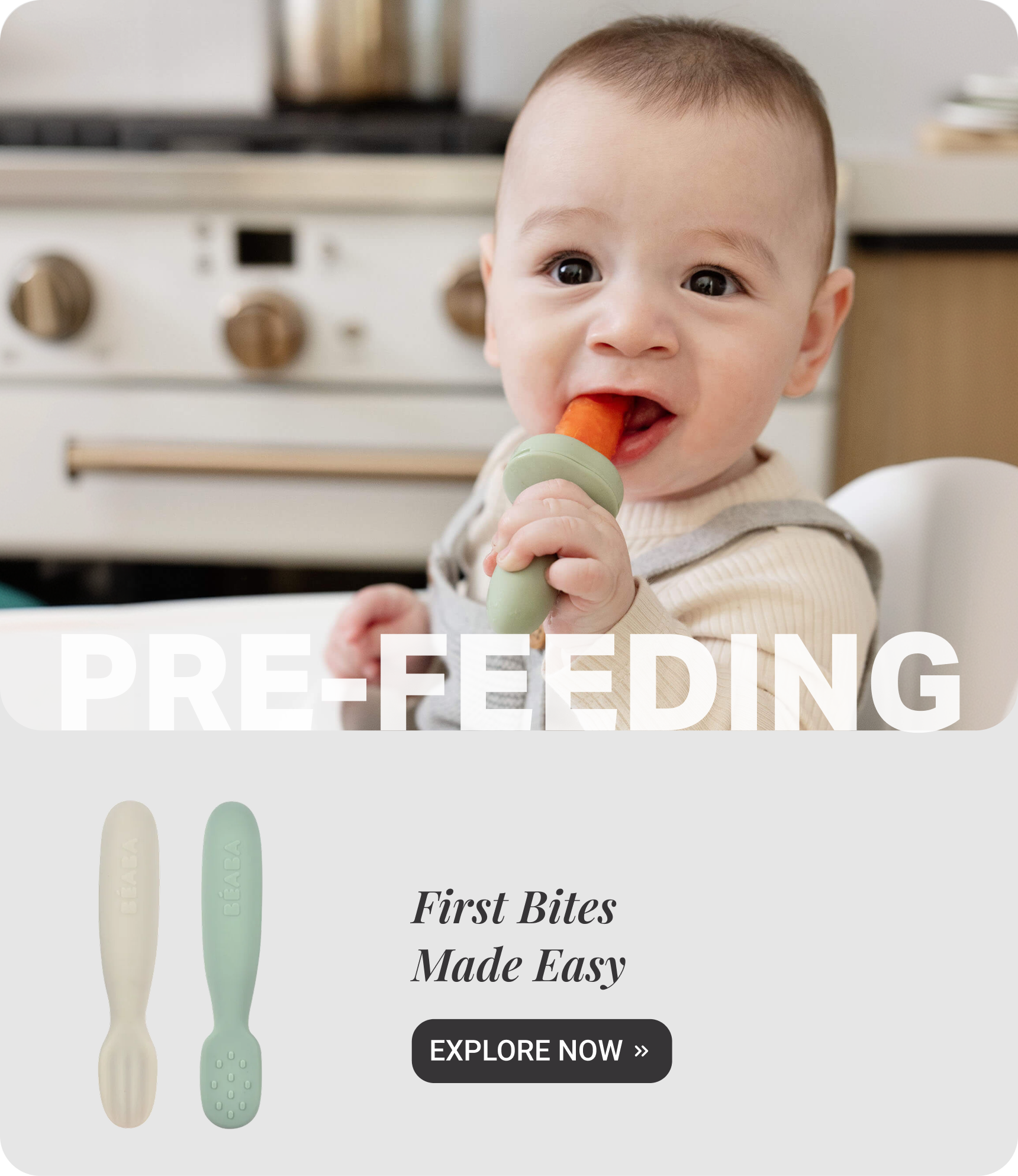 Pre-Feeding _Main-Banners_12Aug26