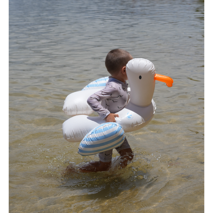 Sid the Seagull
