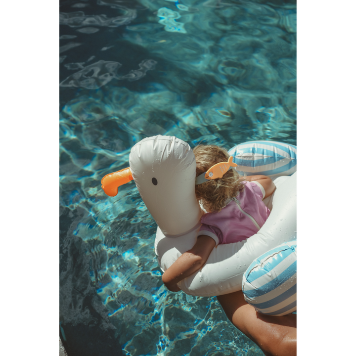 Sid the Seagull