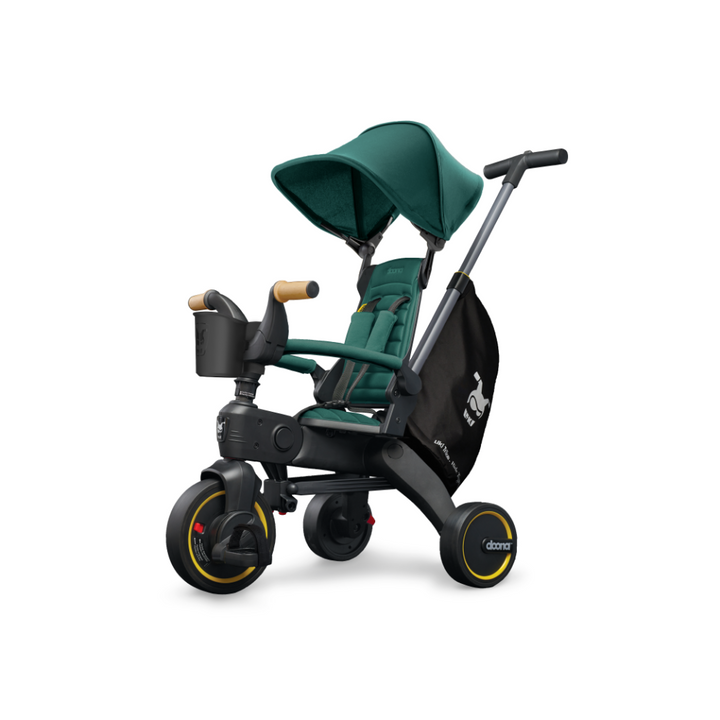 #color_racing-green