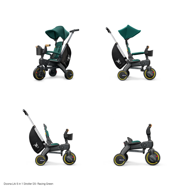 #color_racing-green