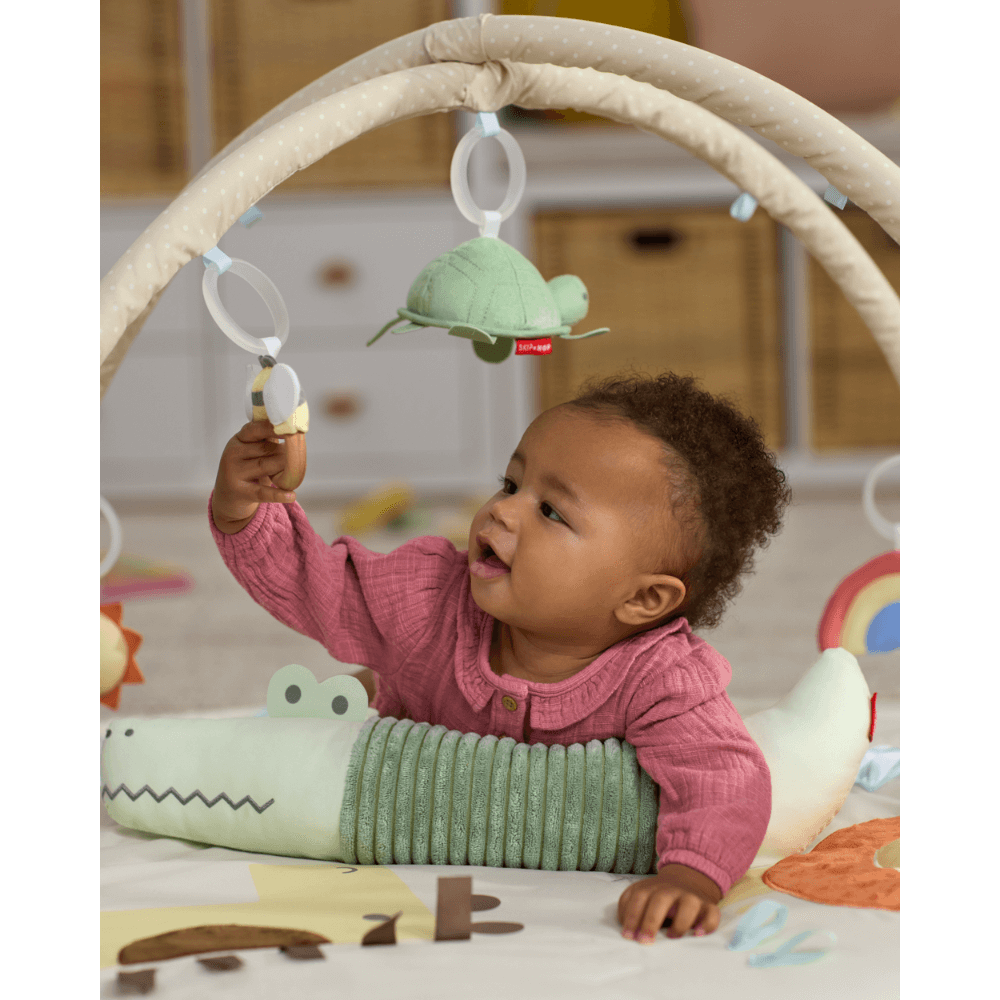 Skip Hop Geometric Wonders Activity Gym