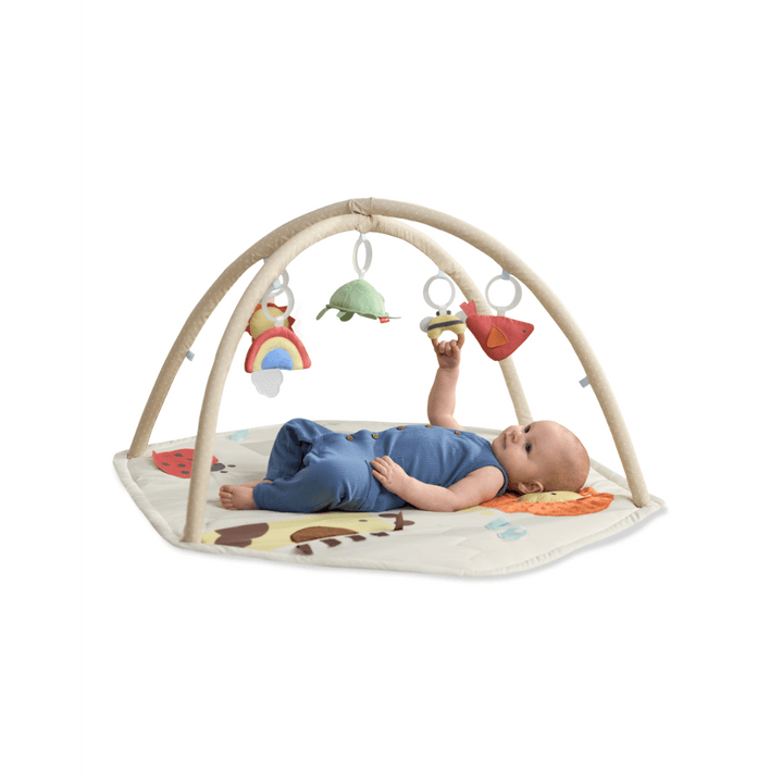 Skip Hop Geometric Wonders Activity Gym