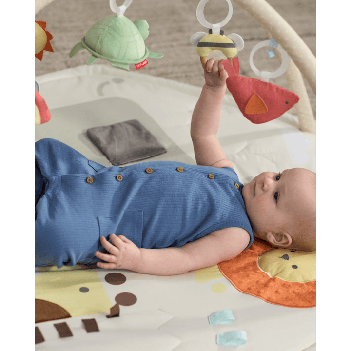 Skip Hop Geometric Wonders Activity Gym