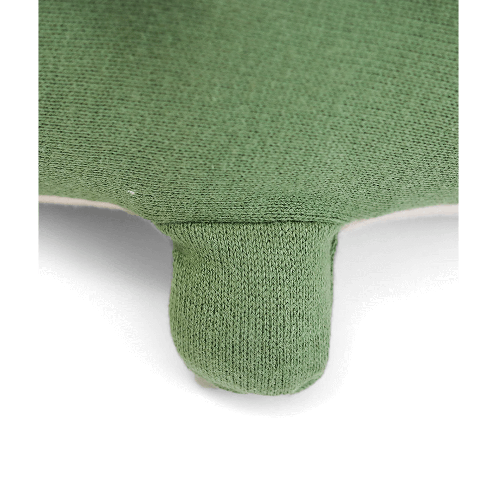 #color_fusion-mint-bermuda-green-shell