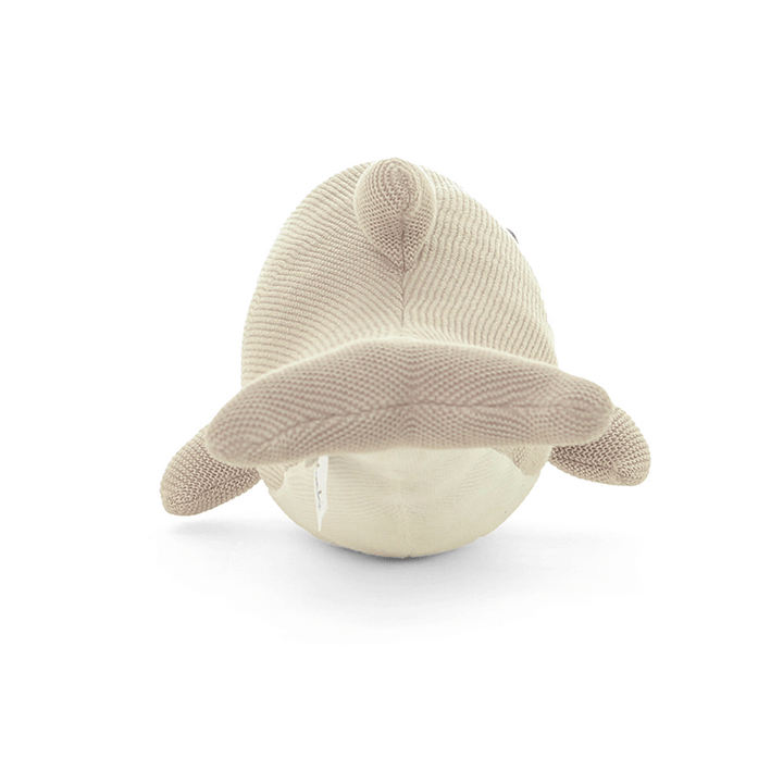 Fin Dolphin