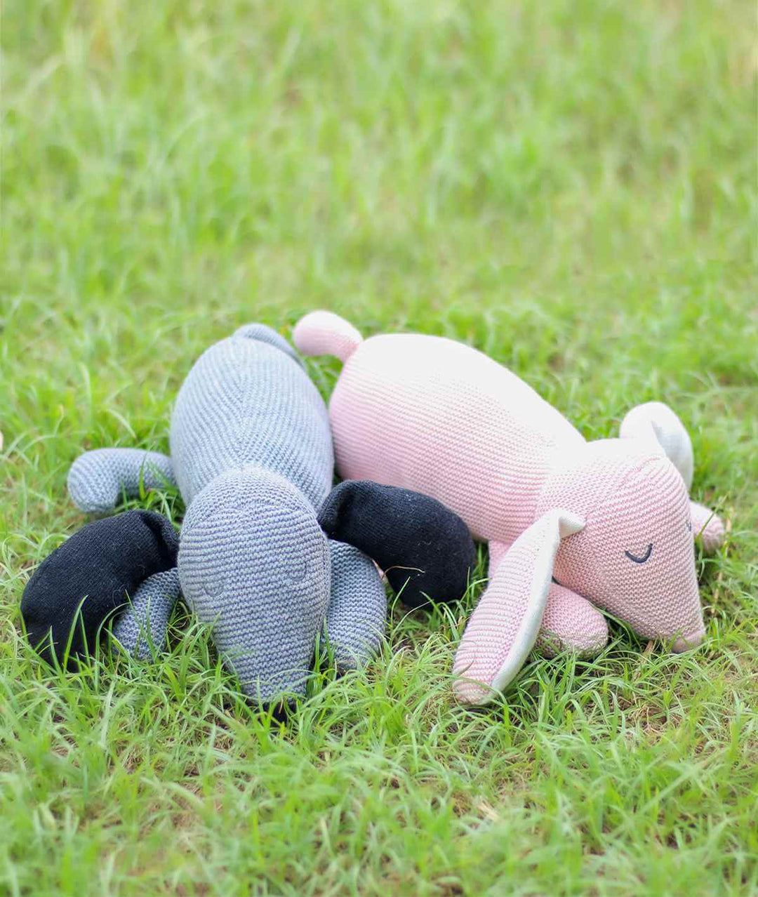 #color_Pluchi-Sleepy-Dog-Cotton-Knitted-Soft-Toy